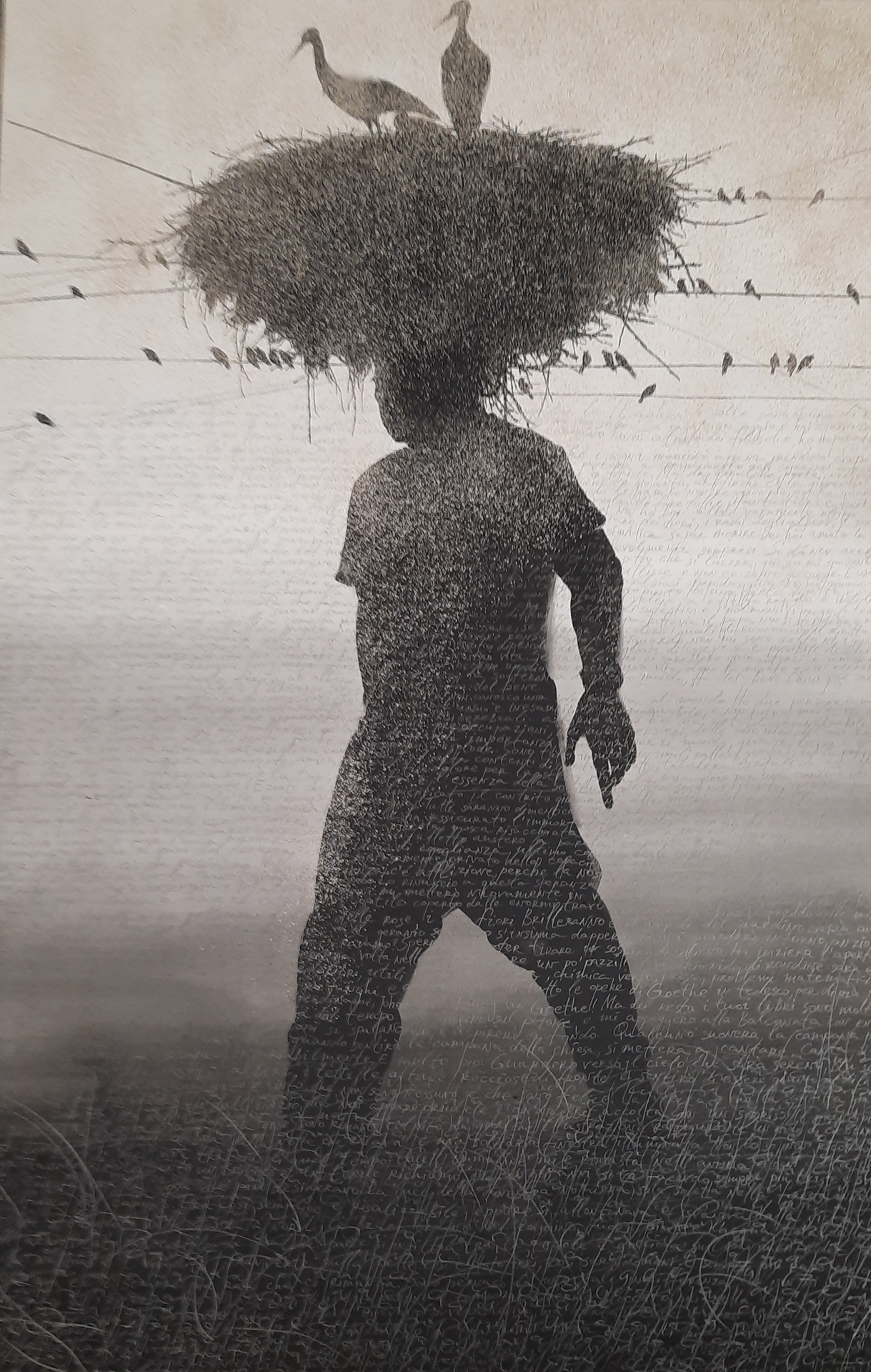 2021 Falso Movimento